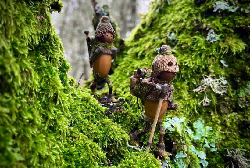 Dos muñecos, Los Bellotines, elaborados con bellotas y otros elementos naturales en el bosque como si fueran senderistas.