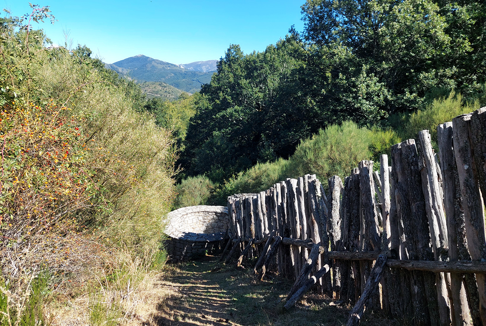 Bajada al Corral de los Lobos entre matorrales en Prioro, León.